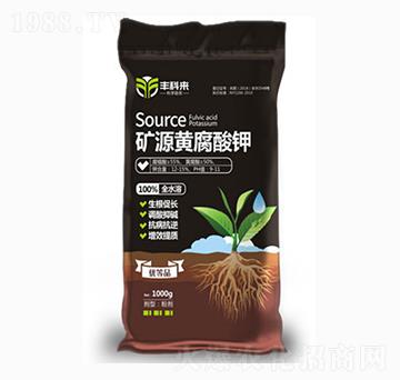 �VԴ�S�����-�S�Ɓ�(l��i)-����������