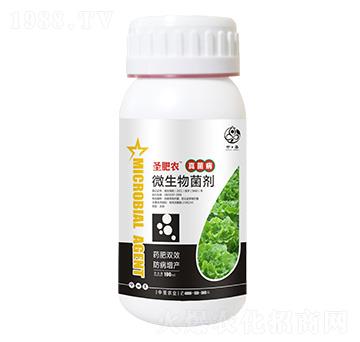 ƿ�b�������(zhu��n)��΢�������-ʥ���r(n��ng)-��ʥ�r(n��ng)�I(y��)