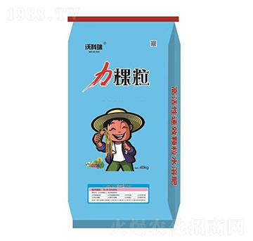 ���w�� �u(y��)�_(d��)�ʘI(y��)