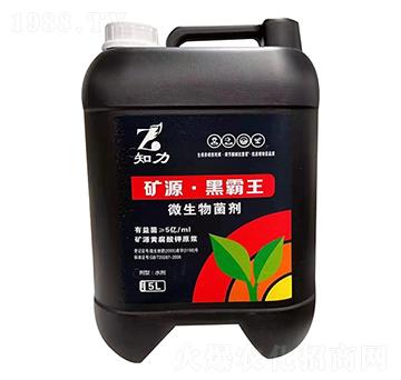 ΢������� �VԴ���ڰ��� �h�D�r(n��ng)�I(y��)