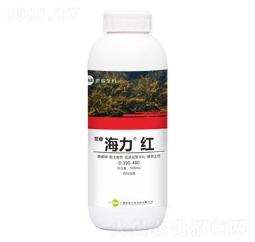 �~���-�������t-�������