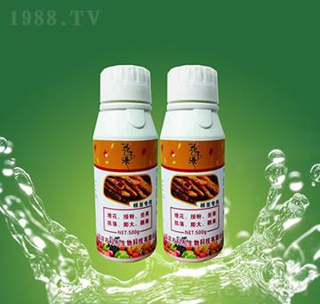 ���o����-��ͮ����