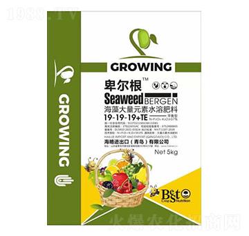 �������Ԫ��ˮ�ܷ���19-19-19+TE-������-����