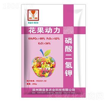 ��������-������(d��ng)��-΢���