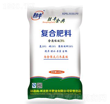 ��(f��)�Ϸ���19-19-1