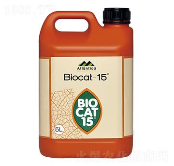 �M(j��n)������̼���-����Ƽ�