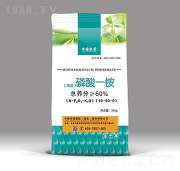 �ι�������@10-50-0-�r�Y���F