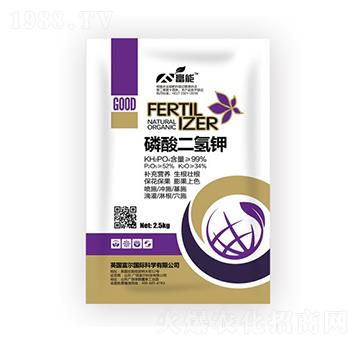 ��������-����-�����Ƽ�