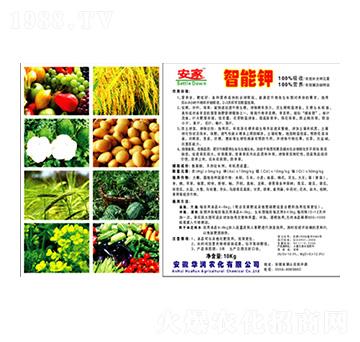 �����-�A���r(n��ng)��