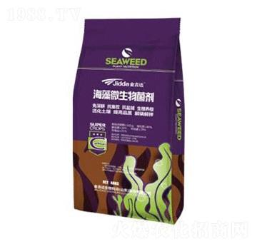 海藻微生物菌劑-金吉達(dá)