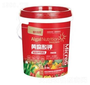 �S�����-���_