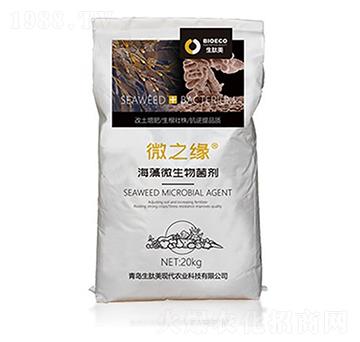 ����΢�������-΢֮��-������