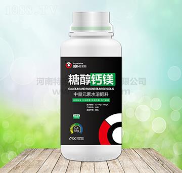 �Ǵ��}�V-Ӣ�����R˹