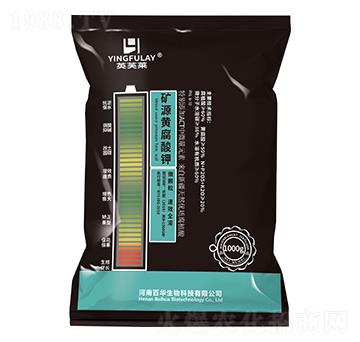 �VԴ�S�����-���A����