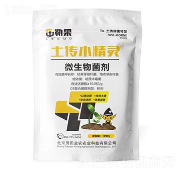 ����С���`-�չ�-�������r