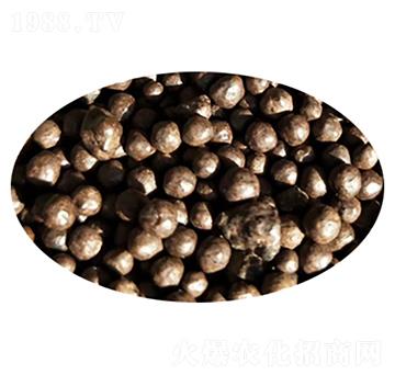 ���{�w�����������-�sɭ����