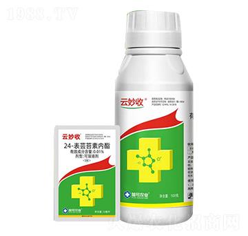 24-���|̦�؃�(n��i)��-������-��̖(h��o)�r(n��ng)�I(y��)