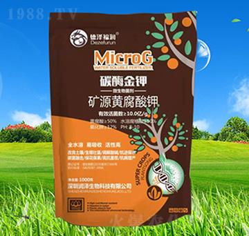 �VԴ�S�����-̼ø���-��(r��n)������