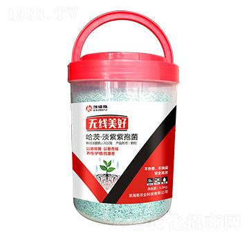 ���ġ��������߾�-�o������-�P��˹