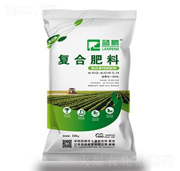 �ͺϷ���19-5-21S-�{�i�ʘI(y��)