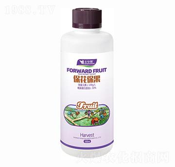 ����������-�S�A��-�S�A�ʘI(y��)