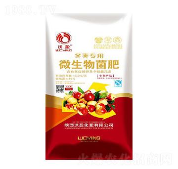 ������(zhu��n)��΢�������-��ӯ����