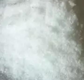 �̌���������-���R