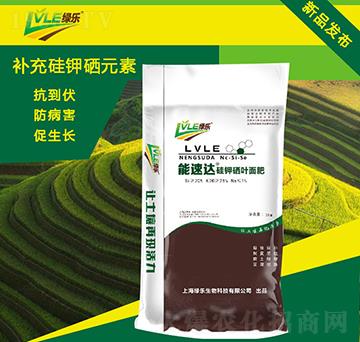 �����_(d��)������~��ʣ�����-�G������