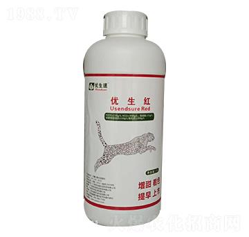 ��(y��u)���t-��(y��u)����