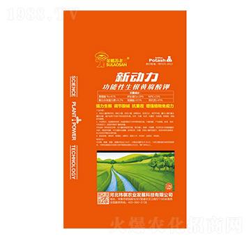 �����������S�����-��(d��ng)��-�|���r(n��ng)�I(y��)