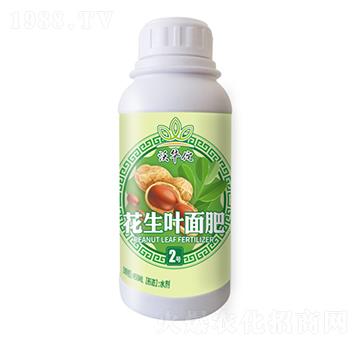 �����~���2̖-���A٢-�h���r(n��ng)�I(y��)