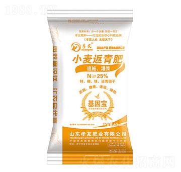 С�������-Т��