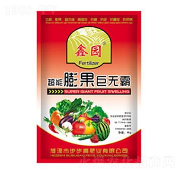 ��������ޟo(w��)��-�Έ@-