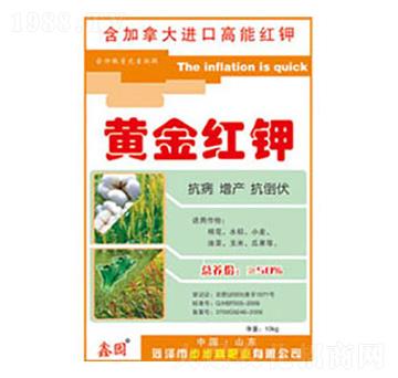 �S��t�-�Έ@-�����߷ʘI(y��)