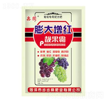 ������t�n����-�Έ@-