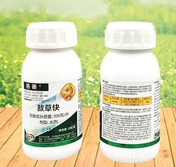 ���ݿ�-���z-������