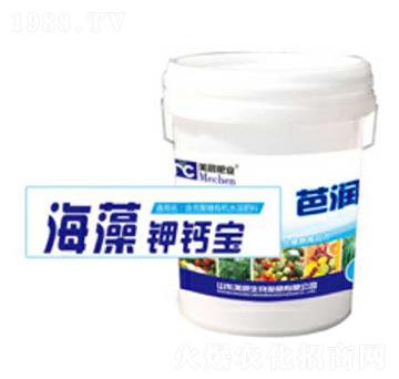 ������}��-�ŝ�(r��n)-�\(ch��ng)������