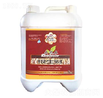 ����ؔ-�и�����