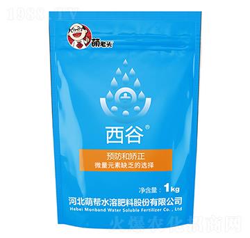 ����-�Ȏ�