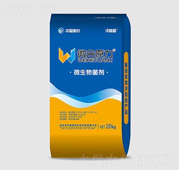 ΢��ԭ��΢�������-��ӯ���r