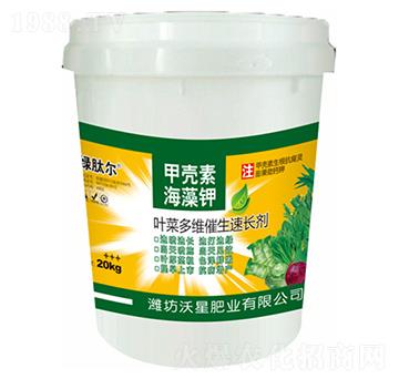 �~�˶�S�������L��-���ǷʘI(y��)