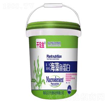 �����~����Ͱ��-ǧ���