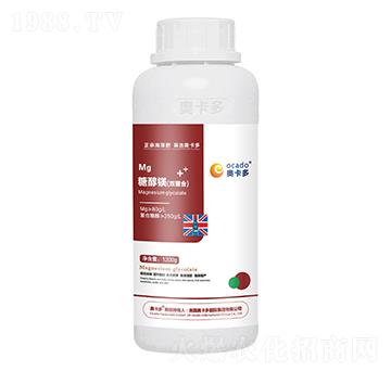 �Ǵ��V���p���ϣ�-�W����