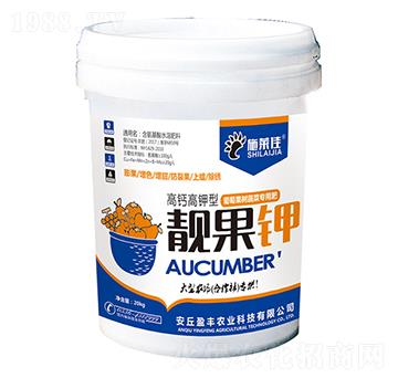 �n���-ʩ�R��-ӯ�S�r(n��ng)�I(y��)