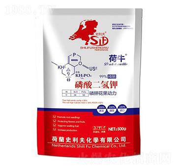 ��������-��⛻�����(d��ng)��-ʷ����