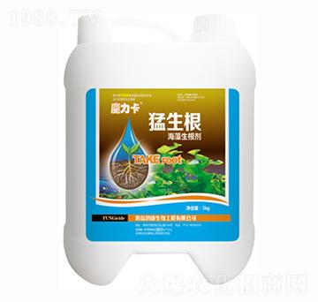 魔力卡猛生根-鴻康生物