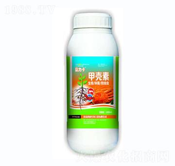 �ך���-ħ����-��������