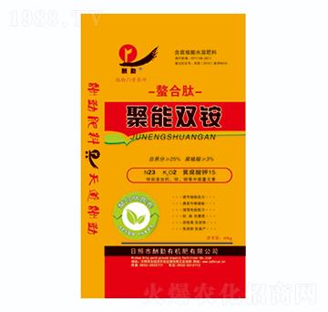 �����ľ����p�@-����