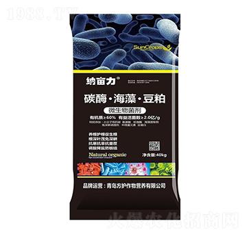 20�|��̼ø���嶹��΢�������-�{����-���o����