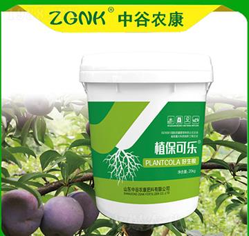 ������-ֲ���ɘ�(l��)-�й��r(n��ng)��